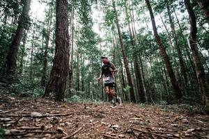 BIB: 
                            <button type="button" onclick="openModal(25261176)" class="btn btn-primary btn-sm float-right btn-popup" data-toggle="modal" data-target=".modal-high-quality">
                        <i class="fas fa-shopping-cart"></i> Add to Cart
                    </button>
                                            <button type="button" onclick="isThisMe(25261176, true)" class="btn btn-success btn-sm float-right btn-popup btn-isme hidden" data-toggle="tooltip" data-placement="bottom" title="นี่คือรูปของคุณใช่ไหม คลิกที่นี่เพื่อเอาเข้าอัลบั้ม">
                        <i class="fas fa-plus"></i> Add to album
                    </button>
                    <button type="button" onclick="isThisMe(25261176, false)" class="btn btn-warning btn-sm float-right btn-popup btn-isnotme hidden">
                        <i class="fas fa-ban"></i> Remove from album
                    </button>